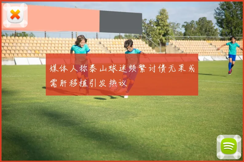 媒体人称泰山球迷频繁讨债无果或需肝移植引发热议