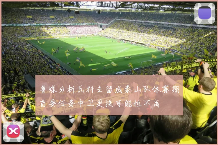 鲁媒分析瓦科去留成泰山队休赛期首要任务中卫更换可能性不高
